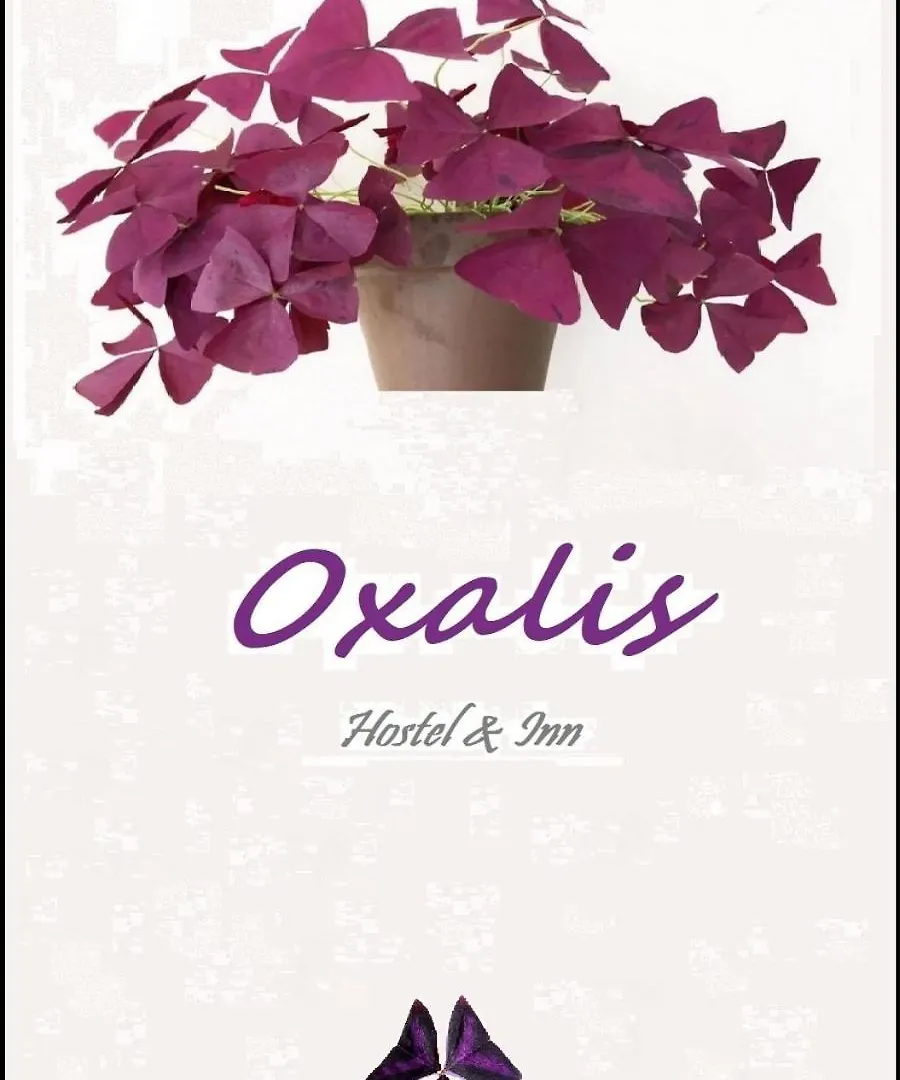 Apartment Oxalis Tbilisi Ostello